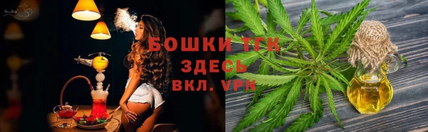 СК Дмитриев