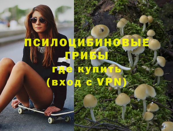 СК Дмитриев
